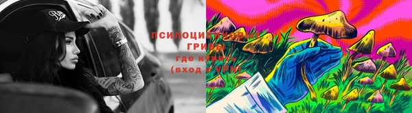 a pvp Алексин