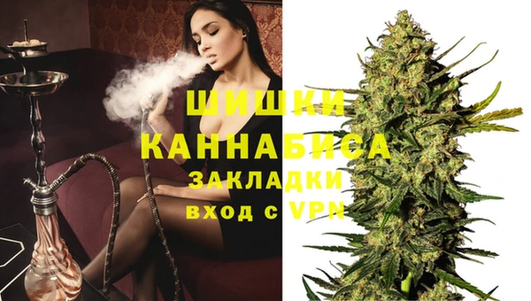 PSILOCYBIN Переславль-Залесский