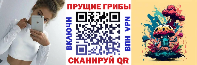 Псилоцибиновые грибы Cubensis Алупка